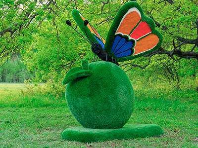 Топиари композиция бабочка на яблоке Синап - газон Eco Green